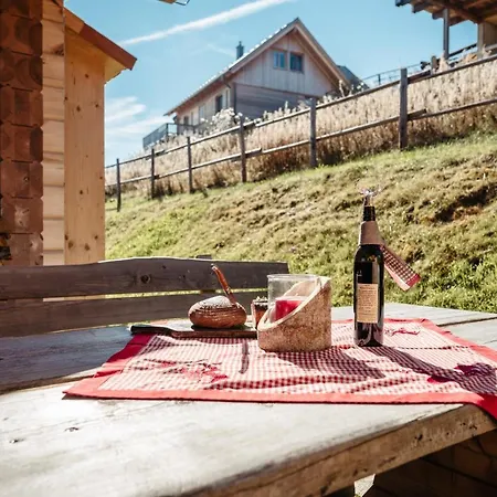 Almhuetten Skorianz *