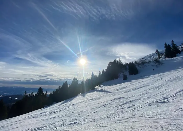 Prázdninový dům Almhuetten Skorianz